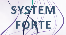 Systemy Forte